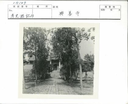 绿树掩映的石头小径入口.jpg