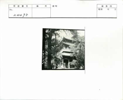 绿树环绕的传统多层建筑.jpg