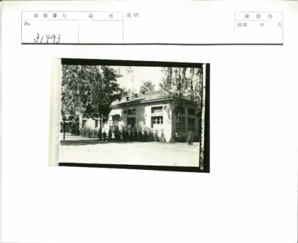 绿树环绕的沙地建筑.jpg