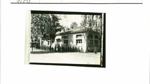 绿树环绕的沙地建筑.jpg