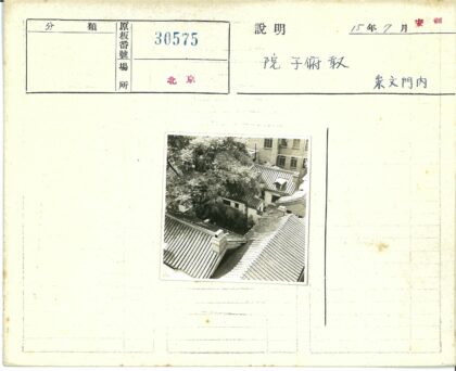 绿树环绕的瓦片屋顶.jpg