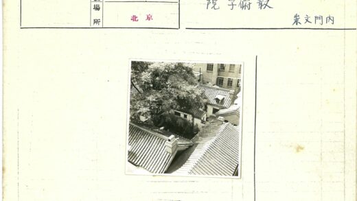 绿树环绕的瓦片屋顶.jpg