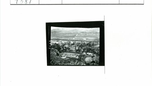 绿树环绕的田野山景建筑.jpg