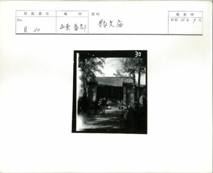 绿树环绕的装饰屋顶建筑.jpg