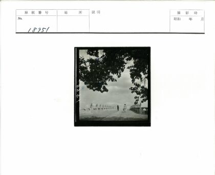 绿树石桥多云天空漫步.jpg