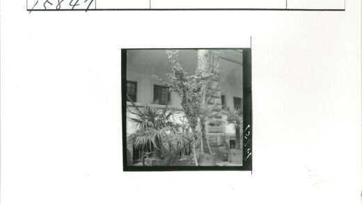 绿植与古典建筑窗景.jpg