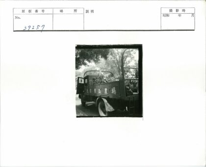 绿植卡车树荫下.jpg