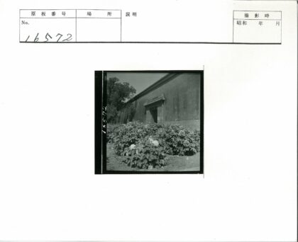 绿植掩映下的黑色装饰门.jpg