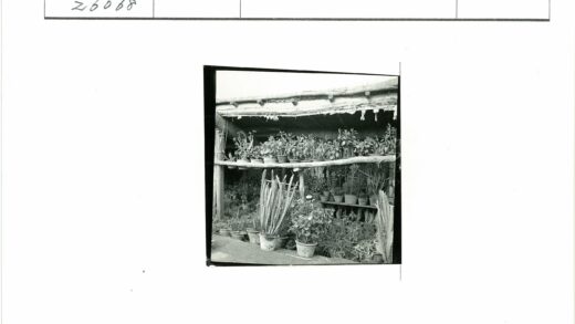 绿植盆栽花园展示.jpg
