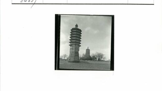绿荫双塔云天下.jpg