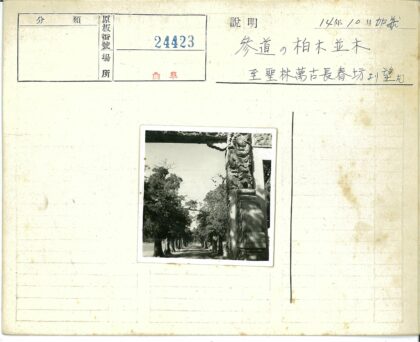 绿荫土路龙纹石柱风景.jpg