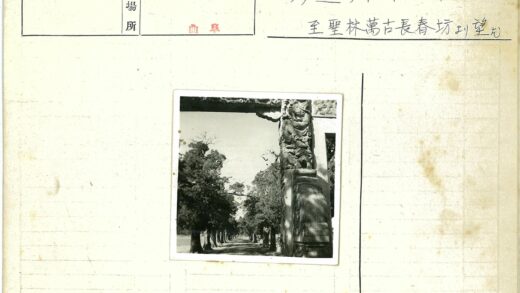 绿荫土路龙纹石柱风景.jpg