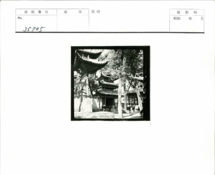 绿荫宝塔庭院散步.jpg
