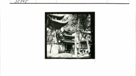 绿荫宝塔庭院散步.jpg