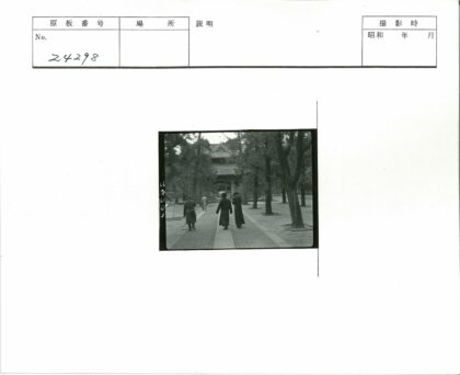 绿荫小径通往传统建筑.jpg