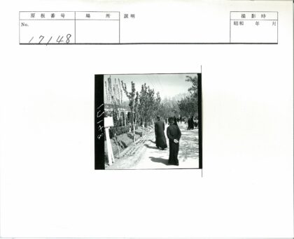 绿荫小路人群漫步.jpg