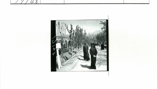 绿荫小路人群漫步.jpg