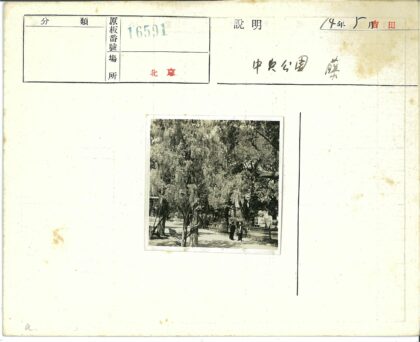 绿荫小路长凳篱笆树影.jpg