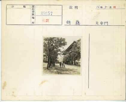 绿荫小道与骑行者.jpg