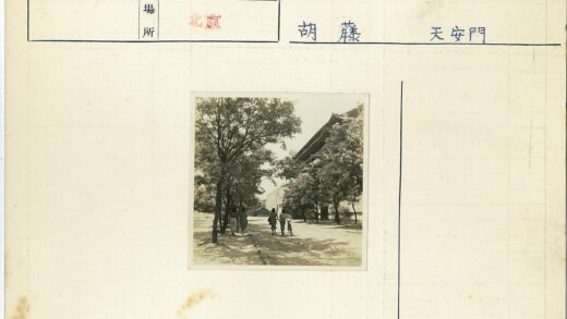 绿荫小道与骑行者.jpg
