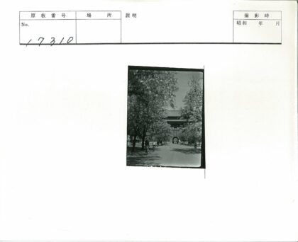 绿荫小道骑行向拱门大楼.jpg