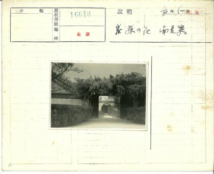 绿荫拱门小径树篱.jpg