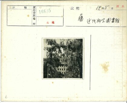 绿荫掩映下的多层建筑.jpg