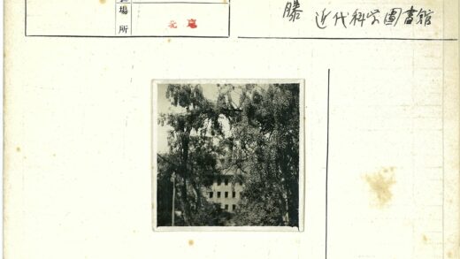 绿荫掩映下的多层建筑.jpg