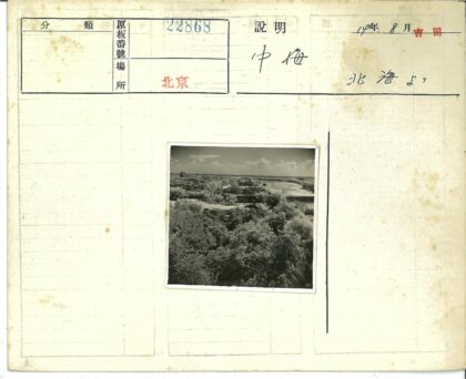 绿荫掩映建筑与天空之河.jpg