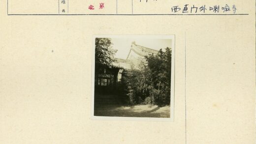 绿荫掩映的传统瓦片屋顶.jpg