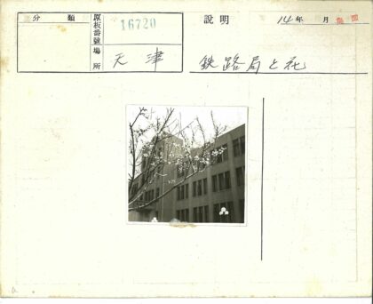 绿荫掩映的多层老楼街景.jpg
