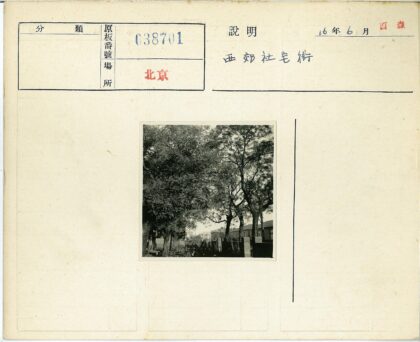 绿荫掩映的宁静住宅区.jpg