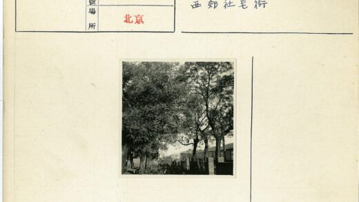 绿荫掩映的宁静住宅区.jpg