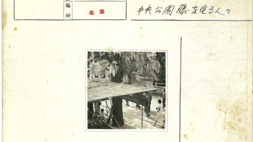 绿荫木道散步自然风光.jpg