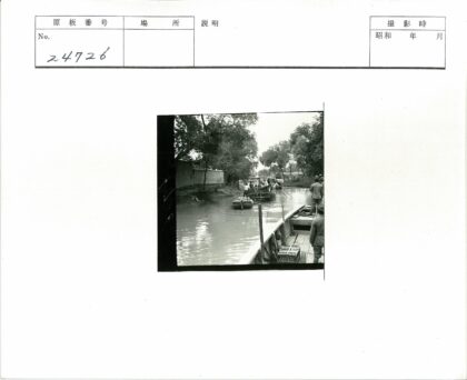 绿荫水道划船风景.jpg