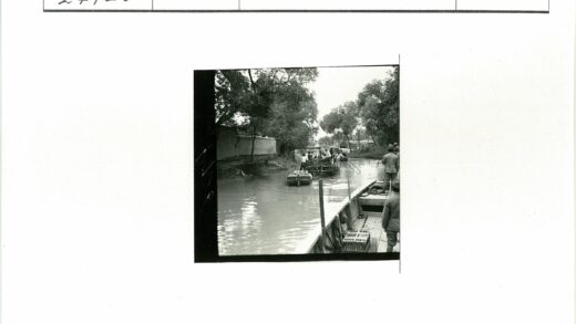 绿荫水道划船风景.jpg
