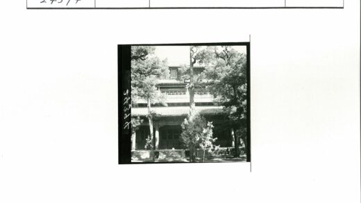 绿荫环绕瓦顶多层建筑台阶入口.jpg