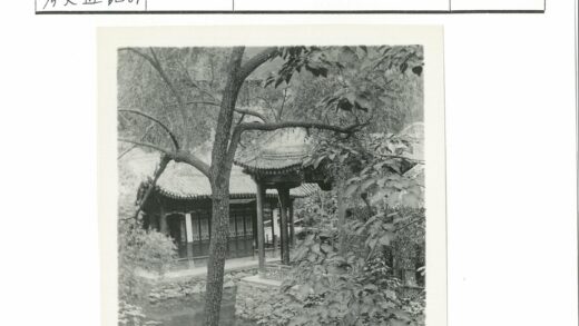 绿荫环绕的传统亭子景观.jpg