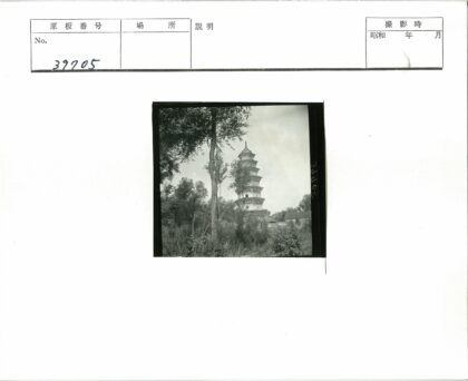 绿荫环绕的古老高塔.jpg