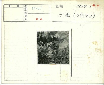 绿荫环绕的斜顶花园小屋.jpg