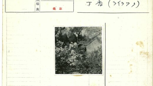 绿荫环绕的斜顶花园小屋.jpg