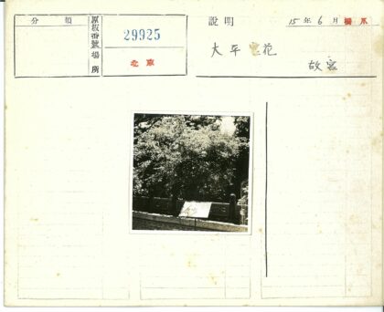 绿荫石栏广告牌风景.jpg