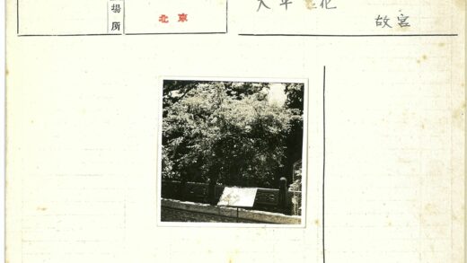 绿荫石栏广告牌风景.jpg