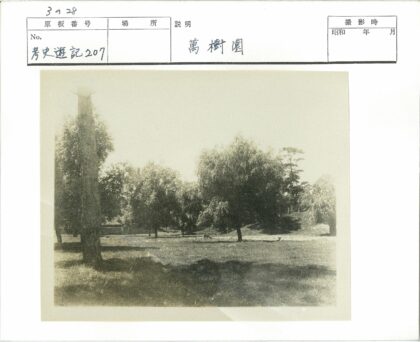绿荫草地与散步的狗.jpg