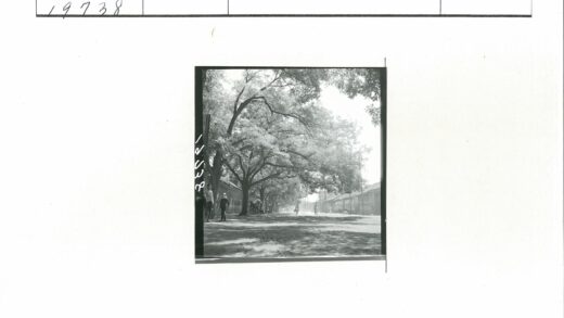 绿荫街景行人自行车.jpg