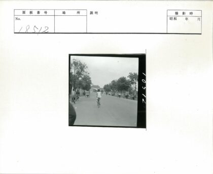 绿荫街道骑行与拱门远景.jpg