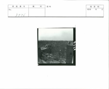 绿荫街道鸟瞰建筑与远树.jpg