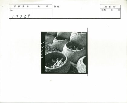 编织篮子小鸭子户外稻草床.jpg