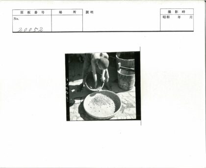 编织篮拣坚果木桶旁.jpg