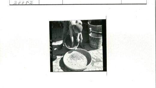 编织篮拣坚果木桶旁.jpg